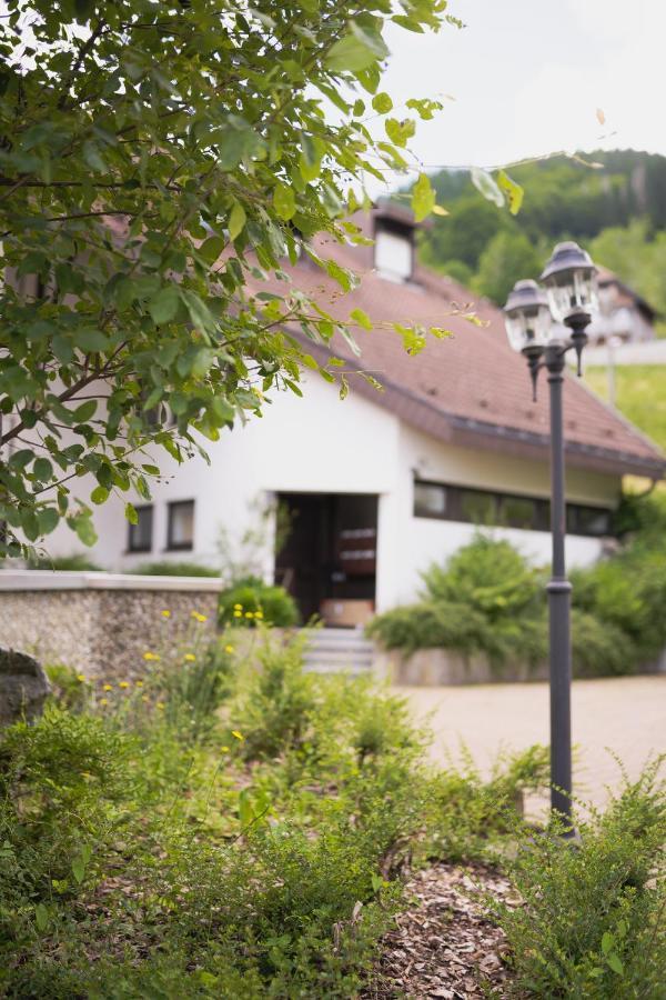 Winter-Nest Apartment Todtnau Exterior photo